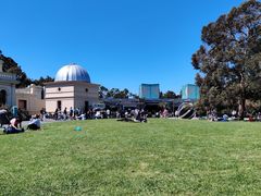 -墨尔本皇家植物园