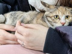 -艾贝尔宠物医院·狂犬免疫点(江山金象城店)