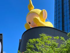 -东莞松山湖万象汇