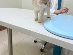 -美联众合24小时·皮肤科·外科·全科诊疗中心(华苑分院)
