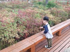 -汉长安城未央宫国家考古遗址公园