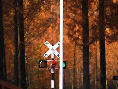 -黄海国家森林公园