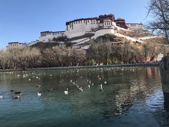 -宗角禄康公园