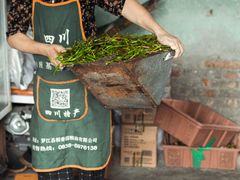 -好记哑巴兔(黄许镇店)