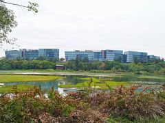-华侨城湿地公园