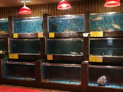 水产区-顺峰海鲜酒楼(省府店)