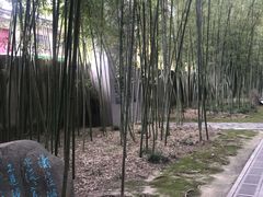 -上海市龙华烈士陵园