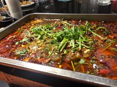 -小眼睛餐饮&杨杨夜宵