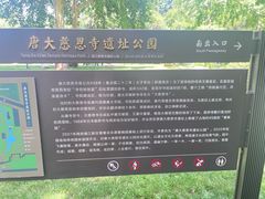 -大慈恩寺(大雁塔)