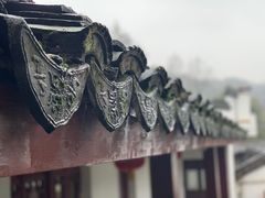 -杭州黄龙洞