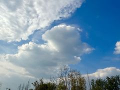 -两河城市森林公园