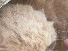 -萌兽医馆·宠物医院·猫骨科(创景店)