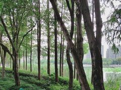 -南翔镇银翔湖公园