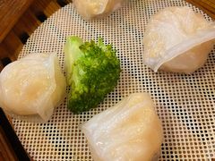 -避风塘(江桥万达店)