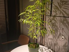 -虹之森·小馆