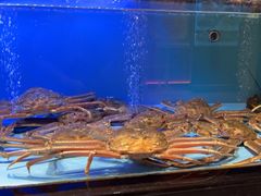 -阿伟海鲜楼·福建菜(延寿店)