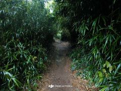 -大罗山风景区