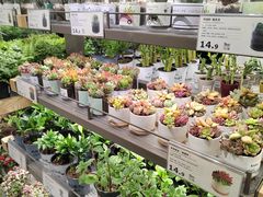 -鹿岛生活(熙地港店)