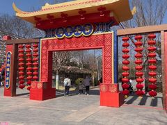 -南宫五洲植物乐园