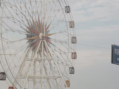 -奉贤海滩