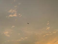 -冰川延边料理·炭烤串(原小木屋店)