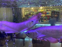 -聚鑫阁江浙菜·非遗传承技艺(闵行交大店)