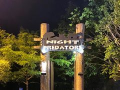 -清迈夜间动物园