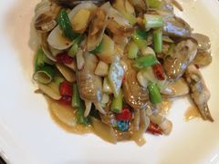 葱姜蝽子-新南华大酒店(长寿店)