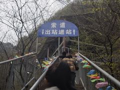 -王顺山国家森林公园