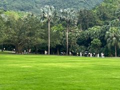-深圳仙湖植物园
