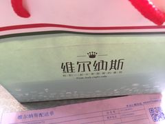 -维尔纳斯·生日蛋糕动物奶油冰淇淋蛋糕(人大店)