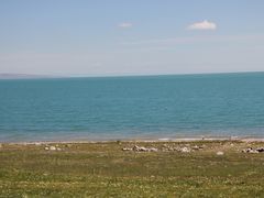 -青海湖国家重点风景名胜区