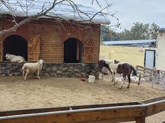 -HERRE·FARM 赫尔露营农场·团建聚会包场