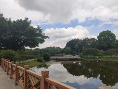-东莞植物园