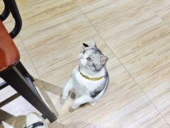 -百金通黄金回收首饰定制维修(珠江路总部)