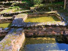 -MOJ coffee(瓯海泽雅水碓坑店)