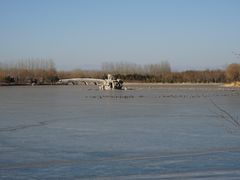 -大兴滨河森林公园