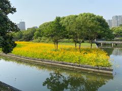 -蠡湖大桥公园
