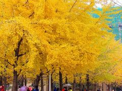 -辽宁大学(崇山校区)