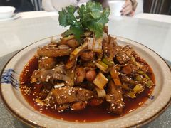 -院8里·少城记忆老川菜(宽窄巷子店)