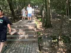 -紫金山山顶公园