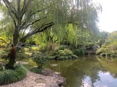 -秋霞圃