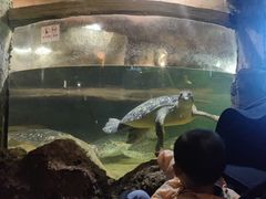 -长鹿旅游休博园