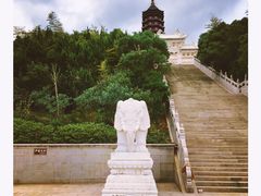 -普陀山佛顶山索道
