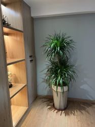 -天使妈妈产后康复中心(万宝店)