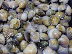 -海鲜e族(马王堆店)