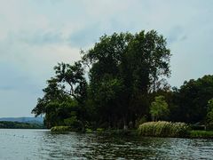 -杭州香格里拉·香宫中餐厅