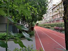 -上海市黄浦区卢湾第一中心小学