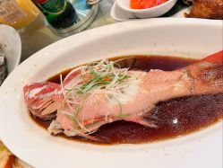 -上海浦东喜来登由由大酒店·宴会厅