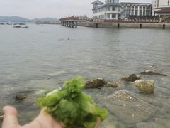 -养马岛旅游度假区